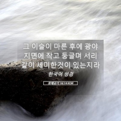 Picture 05 - 출애굽기 16:14 KOR - 그 이슬이 마른 후에 광야 지면에 - Bible Verse Picture