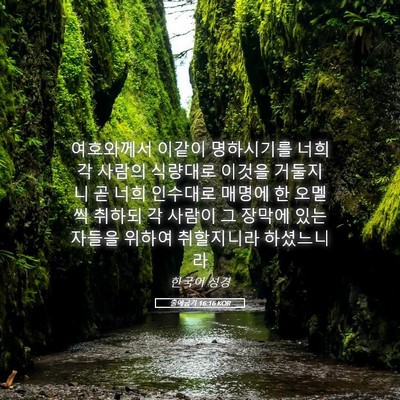 Picture 05 - 출애굽기 16:16 KOR - 여호와께서 이같이 명하시기를 너희 - Bible Verse Picture