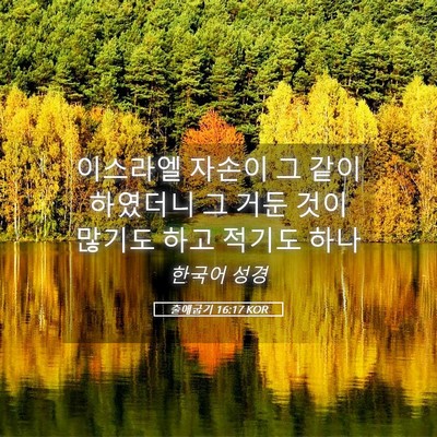Picture 05 - 출애굽기 16:17 KOR - 이스라엘 자손이 그 같이 하였더니 - Bible Verse Picture