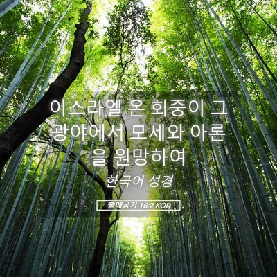 Picture 05 - 출애굽기 16:2 KOR - 이스라엘 온 회중이 그 광야에서 - Bible Verse Picture