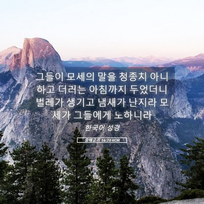 Picture 05 - 출애굽기 16:20 KOR - 그들이 모세의 말을 청종치 아니하고 - Bible Verse Picture