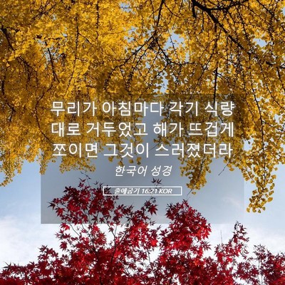 Picture 05 - 출애굽기 16:21 KOR - 무리가 아침마다 각기 식량대로 - Bible Verse Picture