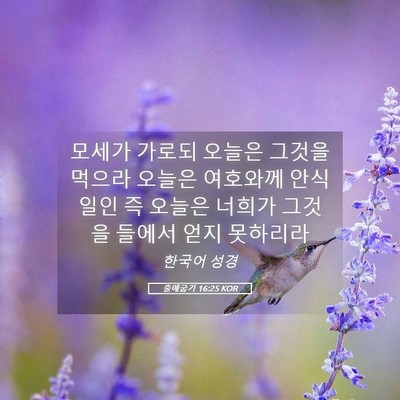 Picture 05 - 출애굽기 16:25 KOR - 모세가 가로되 오늘은 그것을 먹으라 - Bible Verse Picture