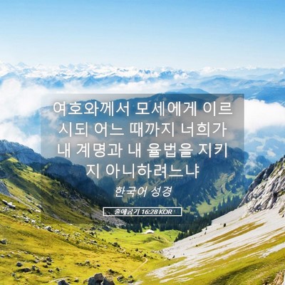 Picture 05 - 출애굽기 16:28 KOR - 여호와께서 모세에게 이르시되 어느 - Bible Verse Picture