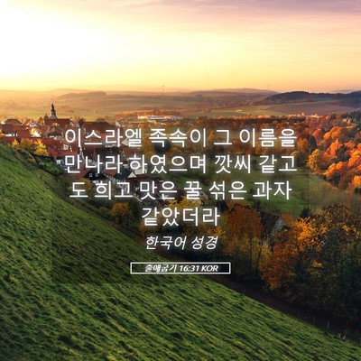 Picture 05 - 출애굽기 16:31 KOR - 이스라엘 족속이 그 이름을 만나라 - Bible Verse Picture