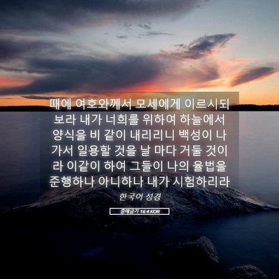 Picture 05 - 출애굽기 16:4 KOR - 때에 여호와께서 모세에게 이르시되 - Bible Verse Picture
