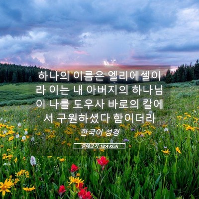 Picture 05 - 출애굽기 18:4 KOR - 하나의 이름은 엘리에셀이라 이는 내 - Bible Verse Picture