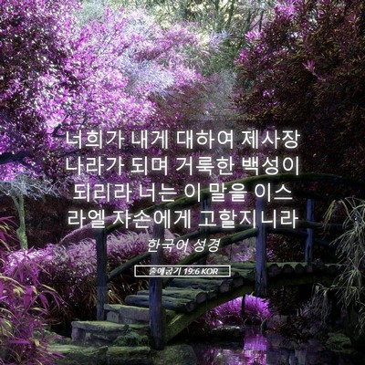 Picture 05 - 출애굽기 19:6 KOR - 너희가 내게 대하여 제사장 나라가 - Bible Verse Picture