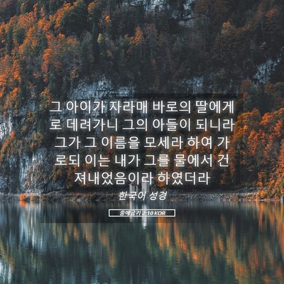 Picture 05 - 출애굽기 2:10 KOR - 그 아이가 자라매 바로의 딸에게로 - Bible Verse Picture