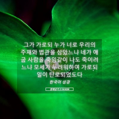 Picture 05 - 출애굽기 2:14 KOR - 그가 가로되 누가 너로 우리의 - Bible Verse Picture