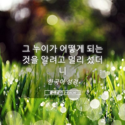 Picture 05 - 출애굽기 2:4 KOR - 그 누이가 어떻게 되는 것을 알려고 - Bible Verse Picture