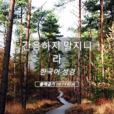 Picture 05 - 출애굽기 20:14 KOR - 간음하지 - Bible Verse Picture