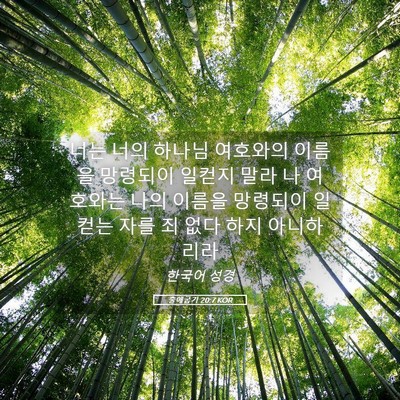 Picture 05 - 출애굽기 20:7 KOR - 너는 너의 하나님 여호와의 이름을 - Bible Verse Picture