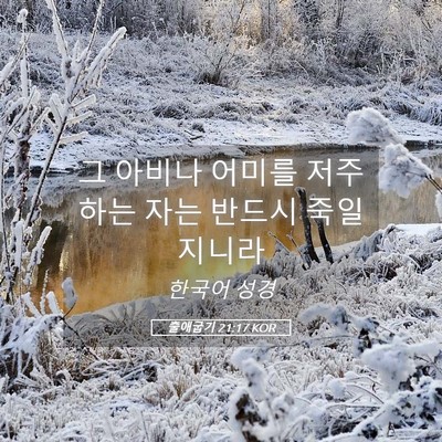 Picture 05 - 출애굽기 21:17 KOR - 그 아비나 어미를 저주하는 자는 - Bible Verse Picture