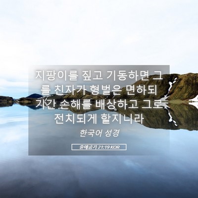 Picture 05 - 출애굽기 21:19 KOR - 지팡이를 짚고 기동하면 그를 친자가 - Bible Verse Picture