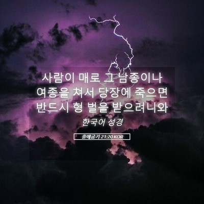 Picture 05 - 출애굽기 21:20 KOR - 사람이 매로 그 남종이나 여종을 - Bible Verse Picture