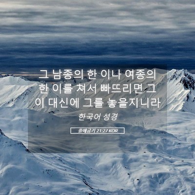 Picture 05 - 출애굽기 21:27 KOR - 그 남종의 한 이나 여종의 한 이를 - Bible Verse Picture