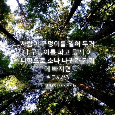 Picture 05 - 출애굽기 21:33 KOR - 사람이 구덩이를 열어 두거나 - Bible Verse Picture