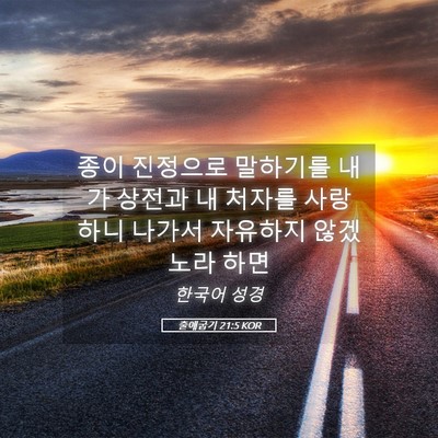 Picture 05 - 출애굽기 21:5 KOR - 종이 진정으로 말하기를 내가 상전과 - Bible Verse Picture