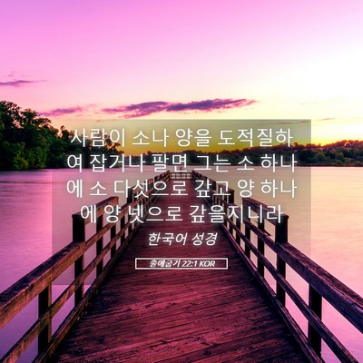 Picture 05 - 출애굽기 22:1 KOR - 사람이 소나 양을 도적질하여 잡거나 - Bible Verse Picture