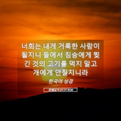 Picture 05 - 출애굽기 22:31 KOR - 너희는 내게 거룩한 사람이 될지니 - Bible Verse Picture