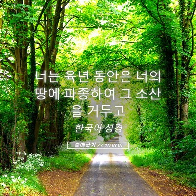 Picture 05 - 출애굽기 23:10 KOR - 너는 육년 동안은 너의 땅에 - Bible Verse Picture