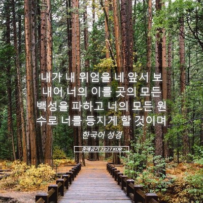 Picture 05 - 출애굽기 23:27 KOR - 내가 내 위엄을 네 앞서 보내어 너의 - Bible Verse Picture