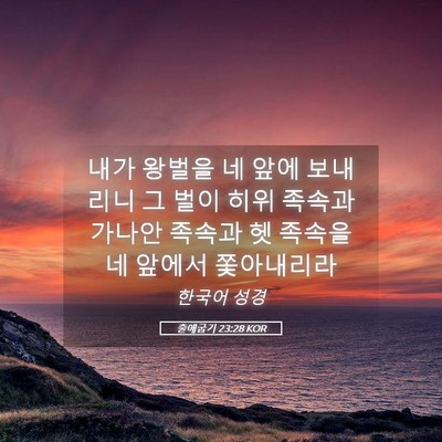 Picture 05 - 출애굽기 23:28 KOR - 내가 왕벌을 네 앞에 보내리니 그 - Bible Verse Picture