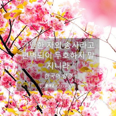 Picture 05 - 출애굽기 23:3 KOR - 가난한 자의 송사라고 편벽되이 - Bible Verse Picture