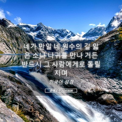 Picture 05 - 출애굽기 23:4 KOR - 네가 만일 네 원수의 길 잃은 소나 - Bible Verse Picture