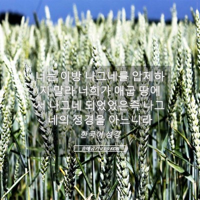 Picture 05 - 출애굽기 23:9 KOR - 너는 이방 나그네를 압제하지 말라 - Bible Verse Picture