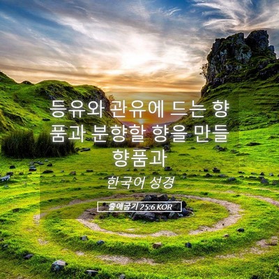 Picture 05 - 출애굽기 25:6 KOR - 등유와 관유에 드는 향품과 분향할 - Bible Verse Picture