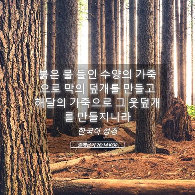 Picture 05 - 출애굽기 26:14 KOR - 붉은 물 들인 수양의 가죽으로 막의 - Bible Verse Picture