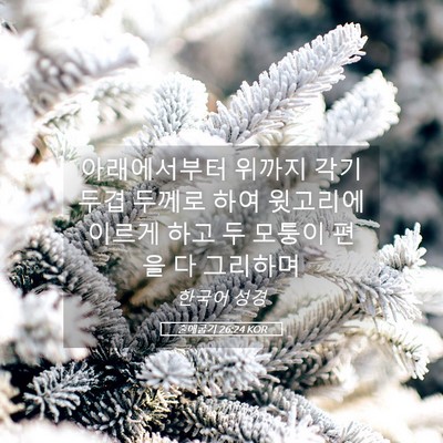 Picture 05 - 출애굽기 26:24 KOR - 아래에서부터 위까지 각기 두겹 - Bible Verse Picture