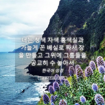Picture 05 - 출애굽기 26:31 KOR - 너는 청색 자색 홍색실과 가늘게 꼰 - Bible Verse Picture