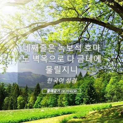 Picture 05 - 출애굽기 28:20 KOR - 네째줄은 녹보석 호마노 벽옥으로 다 - Bible Verse Picture