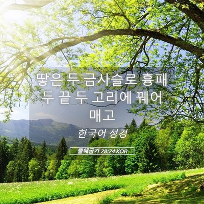 Picture 05 - 출애굽기 28:24 KOR - 땋은 두 금사슬로 흉패 두 끝 두 - Bible Verse Picture