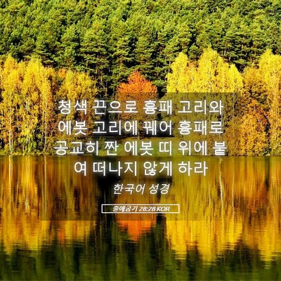 Picture 05 - 출애굽기 28:28 KOR - 청색 끈으로 흉패 고리와 에봇 - Bible Verse Picture