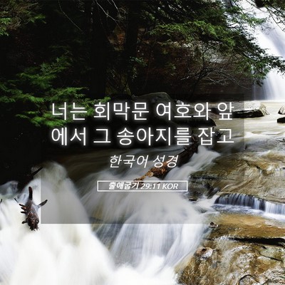 Picture 05 - 출애굽기 29:11 KOR - 너는 회막문 여호와 앞에서 그 - Bible Verse Picture