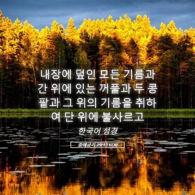 Picture 05 - 출애굽기 29:13 KOR - 내장에 덮인 모든 기름과 간 위에 - Bible Verse Picture