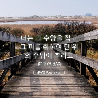 Picture 05 - 출애굽기 29:16 KOR - 너는 그 수양을 잡고 그 피를 취하여 - Bible Verse Picture
