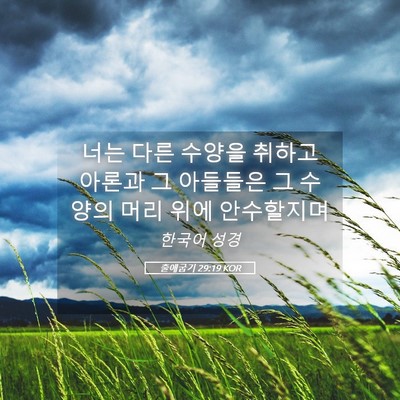 Picture 05 - 출애굽기 29:19 KOR - 너는 다른 수양을 취하고 아론과 그 - Bible Verse Picture