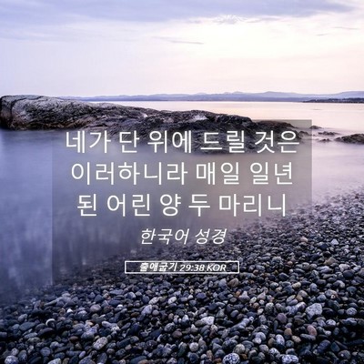 Picture 05 - 출애굽기 29:38 KOR - 네가 단 위에 드릴 것은 이러하니라 - Bible Verse Picture