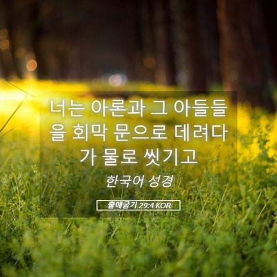 Picture 05 - 출애굽기 29:4 KOR - 너는 아론과 그 아들들을 회막 - Bible Verse Picture
