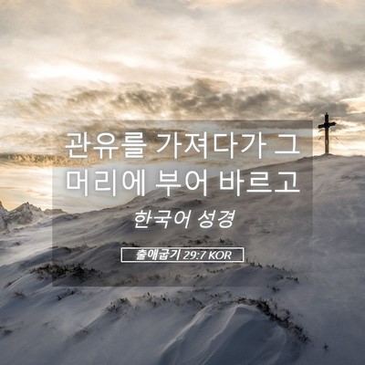 Picture 05 - 출애굽기 29:7 KOR - 관유를 가져다가 그 머리에 부어 - Bible Verse Picture