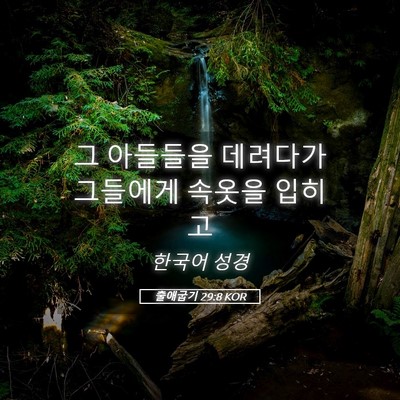 Picture 05 - 출애굽기 29:8 KOR - 그 아들들을 데려다가 그들에게 - Bible Verse Picture