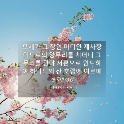 Picture 05 - 출애굽기 3:1 KOR - 모세가 그 장인 미디안 제사장 - Bible Verse Picture