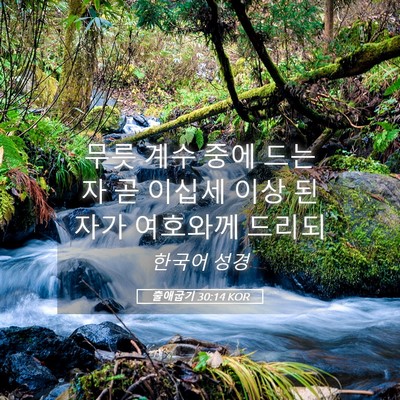 Picture 05 - 출애굽기 30:14 KOR - 무릇 계수 중에 드는 자 곧 이십세 - Bible Verse Picture