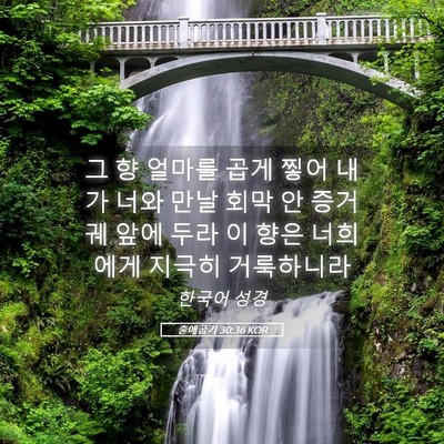 Picture 05 - 출애굽기 30:36 KOR - 그 향 얼마를 곱게 찧어 내가 너와 - Bible Verse Picture