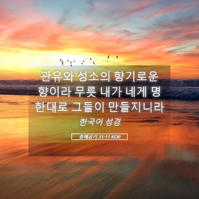 Picture 05 - 출애굽기 31:11 KOR - 관유와 성소의 향기로운 향이라 무릇 - Bible Verse Picture